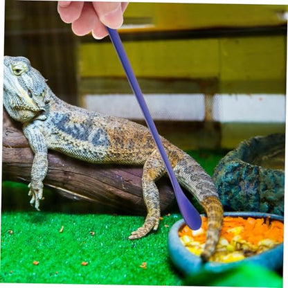 BESPORTBLE 2pcs Stainless Steel Reptile Food Spoon Pet Feeding Tool for Lizards Geckos and Small Animals Design Easy to Use and