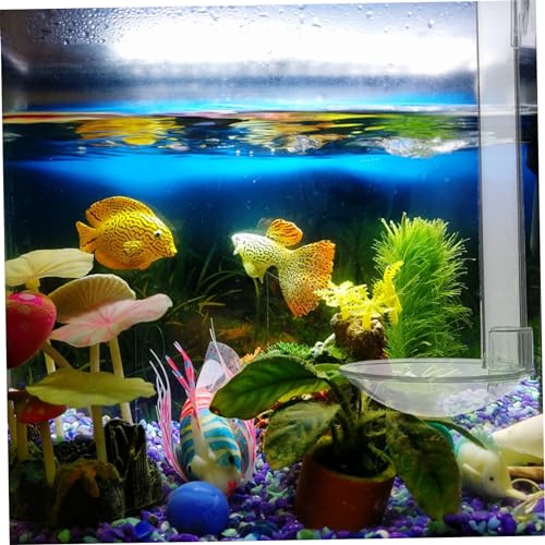 VANZACK 1set Hanging Fish Feeder Tool for Aquarium Acrylic Shrimp Feeder Easy Installation for Fish Tanks and Aquatic Environments