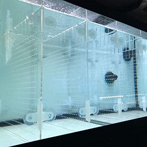 Acrylic Aquarium Divider Kit 5.5/10 / 20L / 20H / 29 / 40B / 55/75 / 125gal Fish Tank with Suction Cups (5.5gal) - size: 5.5gal