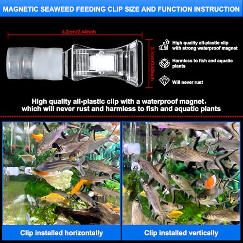 Waterproof Magnetic Seaweed Clip for Saltwater Fish Feeding nori Clip Aquariums Magnet Veggie Feeder Plant clamp Fish Accessories—Patented Product (1pcs Magnetic Veggie Clip)