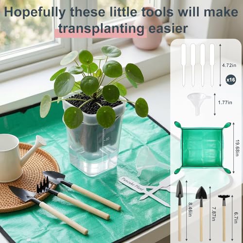 TREWAVE 16 Pack 2" Mini Self Watering Pots for Indoor Plants, Small Clear Plastic Planters with Drainage Holes, Propagation Pots for Alocasia Corms, African Violets, and Succulents - size: 2"
