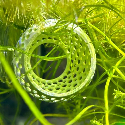 Betta Bulb Hide | Suction Cup Betta Fish Cave & Shrimp Hideout | Wall-Mounted Aquarium Cave for Betta Tanks, Nano Tanks & Planted Aquariums (Cotton Candy Blue)