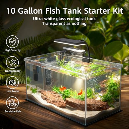 10 Gallon Glass Small Fish Tank with Filter Light and Lid, Aquarium Starter Kit - size: 10 Gallon