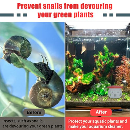 Aquarium Safe Snail Catcher - Reusable Snail Containment Tool for Fish Tanks