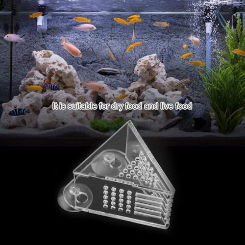 Pssopp Aquarium Cone Red Feeder, V Shape Shrimp Feeder Acrylic Fish Feeding Cup with Suction Cups and Tweezer for Aquarium Use