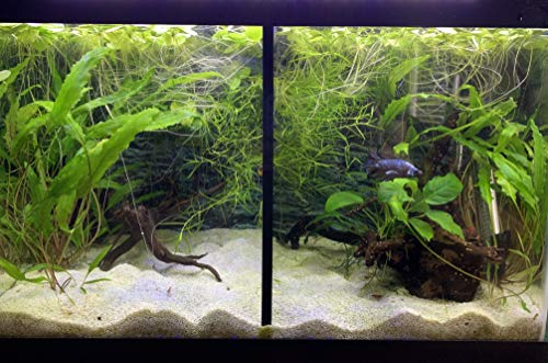 20 Gallon High Tank Divider. Check Compatible Tank Below