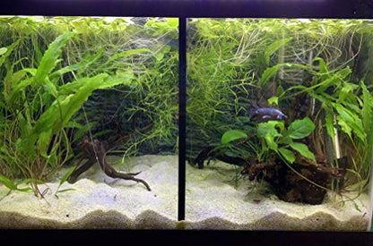 20 Gallon High Tank Divider. Check Compatible Tank Below