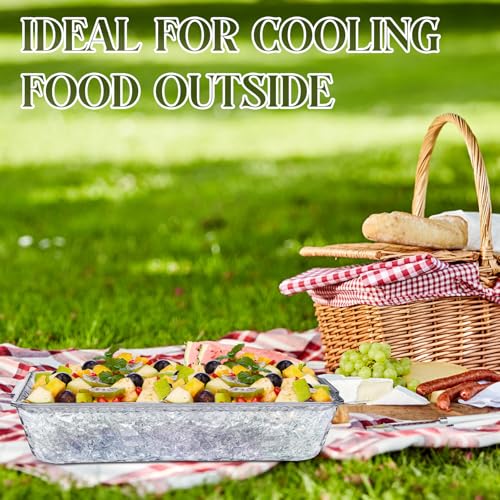 2 Set 16" x 9" Plastic Chilled Serving Tray for Parties with Compartments Ice Chilled Party Platter Charcuterie Serving Board Cold Dish Dip for Fruit Seafood Vegetable Appetizer (Clear) - color: Clear
