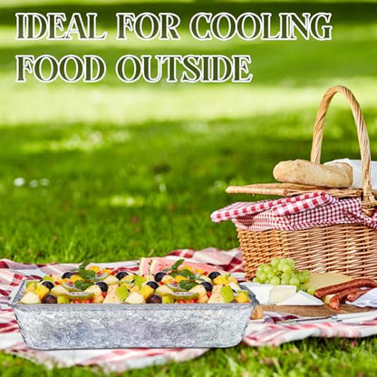 2 Set 16" x 9" Plastic Chilled Serving Tray for Parties with Compartments Ice Chilled Party Platter Charcuterie Serving Board Cold Dish Dip for Fruit Seafood Vegetable Appetizer (Clear) - color: Clear