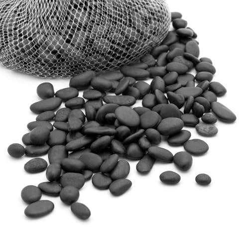 River Rocks Decorative Ornamental Vase Filler 0.5" - 0.75" Black Aquarium Gravel 1 lb - Landscaping Pebbles for Indoor Plants, Succulents, Terrarium & Home Decor, DIY & Crafting – Royal Imports