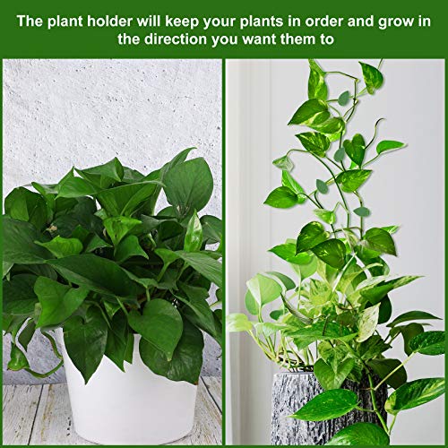 60 Pieces Plant Climbing Wall Fixture Clips with 72 Pieces Acrylic Adhesive Sticker Leaf Fixer Invisible Wall Vines Fixing Clips Hook Plant Vine Traction for Indoor Outdoor Decoration