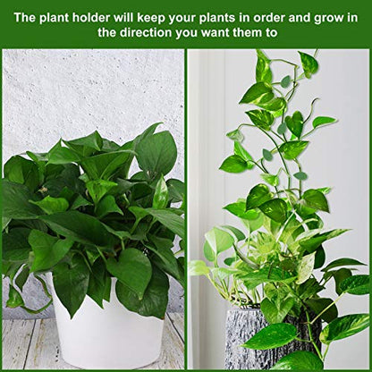 60 Pieces Plant Climbing Wall Fixture Clips with 72 Pieces Acrylic Adhesive Sticker Leaf Fixer Invisible Wall Vines Fixing Clips Hook Plant Vine Traction for Indoor Outdoor Decoration