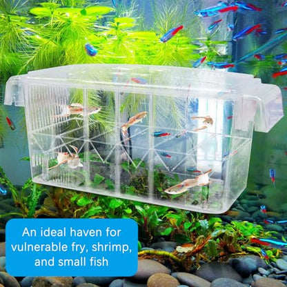 Fish Breeding Box - 4 Rooms HD Aquarium Breeder with Suction Cups, Baby Hatchery Acrylic Incubator Isolation Box, Artificial Plant for Guppy Hatchery - size: 4 Rooms
