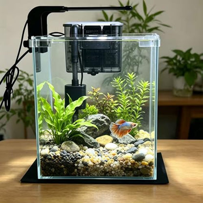 3 Gallon Glass Fish Tank with Filter and Light, Small Betta Aquariums Starter Kit. - size: 3 Gallon