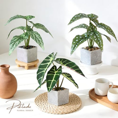 3pcs Small Fake Plants Artificial Begonia Leaves Faux Plants Indoor for Office Desk Shelf Bathroom Home Decor