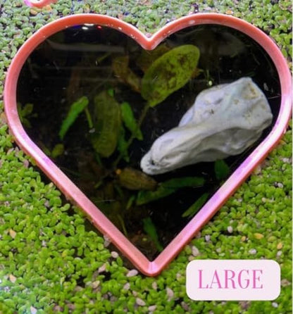 Heart Shaped Aquarium Feeding Ring, Floating Fish Feeding Ring for Fish Tank, Aquatic Plant Feeding Frame, Betta Shrimp Feeding Station, Cute Heart Aquarium Accessory Decor (Medium) - size: Medium