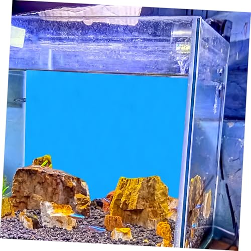 Hemobllo Aquarium Background Aquarium Background Sticker Color Double Side Glass Decal Background Wallpaper Accessories for Fish Tank Aquarium- 50x82cm/ 19. 6x30. 2 inches 10 Gallon Fish Tank