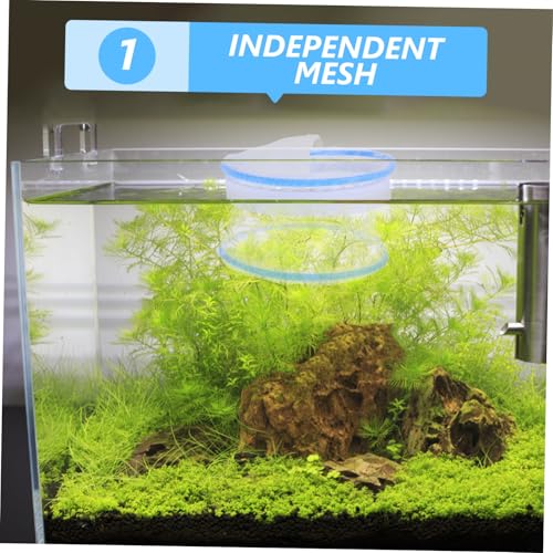 BESPORTBLE 2pcs Floating Breeding Box for Guppies Transparent Nylon Fish Tank Incubator with Mesh Design Stable Structure for Optimal Hatching and Fry Survival