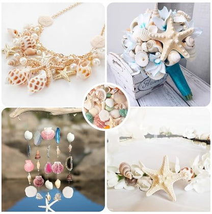 12 Kinds 50 PCS Natural Mixed Seashells Various Sizes, Sea Shells for Crafts, DIY Vase Fillers, Home Decor & Wedding Decorations, Birthday Gift, Beach Theme Party Supplies