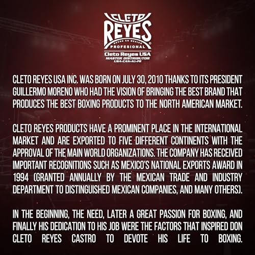 CLETO REYES Speed Bag and Double End Bag Bladder Replacement Latex, Boxing Equipment Accessories - style: 2 Valve