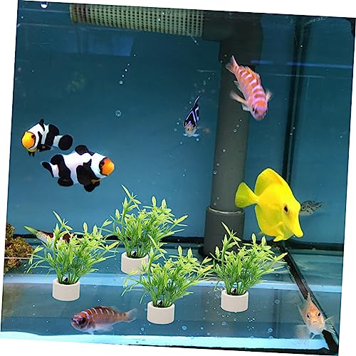 BESPORTBLE 5pcs Aquarium Plant Fixing Holder Underwater Plant Rings for Easy Planting and Decoration Fish Tanks for Beginners and Aquatic Landscapes