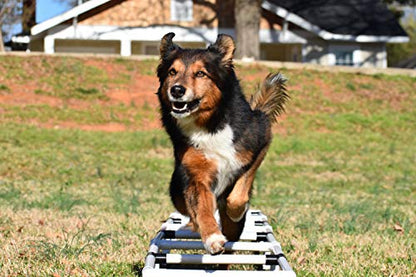 Agility Training Ladder | Dog Agility Training Equipment, Dog Training Equipment