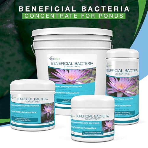 Aquascape Dry Beneficial Bacteria for Pond and Water Features, 4.4-Ounce | 98925,White - size: 0.28 lb