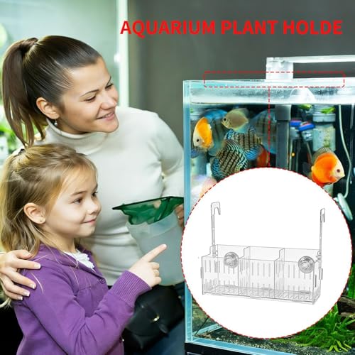 Plant Holder for Aquarium - Acrylic Hydroponic Basket Transparent Adjustable Height Aquatic Plant Holder Decoration Corner Shelf Underwater Vine Moss