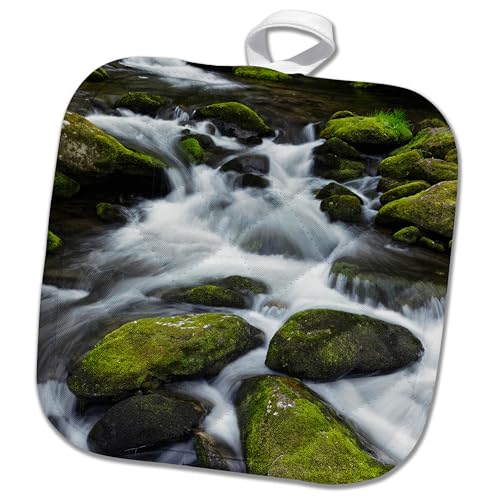 3dRose Moss Covered boulders and Stream, Little Pigeon River, Tennessee 8x8 Potholder