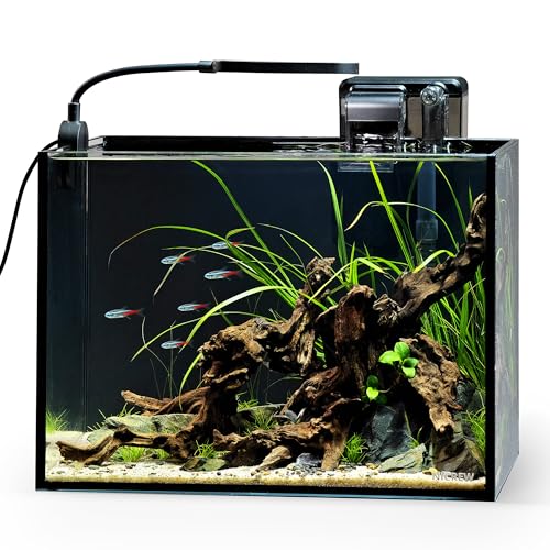 NICREW 2.5 Gallon Nano Nature Aquarium Kit, Ultra-Clear Rimless Desktop Fish Tank with Light and Filter, Perfect for Small Fish, Shrimp, or Betta, Basic Version, Black