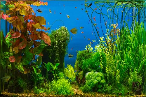 5x4ft Fish Tank Backdrop Aquarium Underwater Grass Leaves Aquatic Plant River Bed Lake Fish Background Diving Holiday Fishing Party Decoration Photo Props Wallpaper
