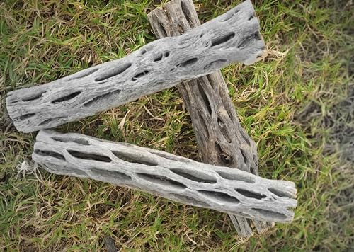Hexagrowth Cholla Wood Shrimp Hideout, Habitat for Fish, Toy for Gecko, Hermit, Snake, Isopods, Millipedes, Beetle, Snail, Airplant Decor, Bird Perch, Untreated Size 6'' Long, 1'' Diameter (3 Pieces)