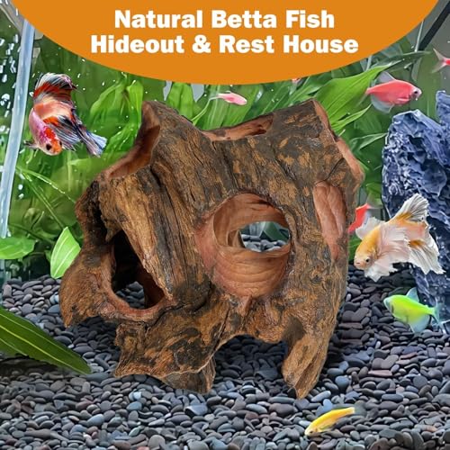 Betta Fish Cave Natural Wood Betta Fish Hideout for Aquarium Fish Tank Decorations Hideout Betta Fish Accessories Habitat Shelter for Crayfish Shrimp and Other Aquatic Pets