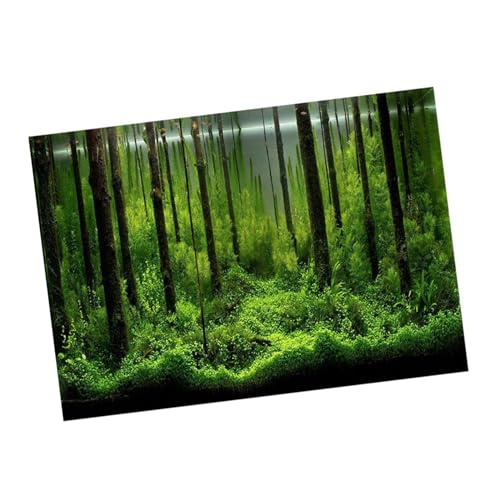 Fish Tank Background, PVC Adhesive Poster, Colorful Underwater Decoration, 61x30cm for Freshwater and Saltwater Aquariums (61 * 41cm)