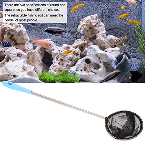 SUNGOOYUE Stainless Steel Aquarium Shrimp Net, Extendable Fine Mesh Fish Skimmer Net with Long Handle, 8cm Round or Square Head, for Shrimp and Small Fish in Tank - size: Round 0.6x0.6m / 2x2ft