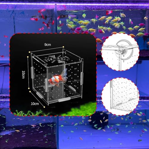 Aquarium Breeding Box Acclimation Hatchery Hatching Spawning Room Box Separator for ES Turtle, Single Room