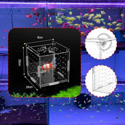 Aquarium Breeding Box Acclimation Hatchery Hatching Spawning Room Box Separator for ES Turtle, Single Room