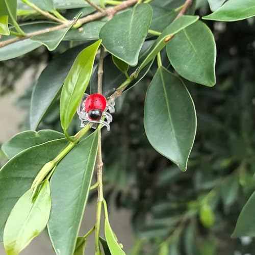 GXXMEI 50PCS Orchid Clips with 50PCS Self-Adhesive Mini Ladybugs Plant Clips Orchid Support Clips Vine Clips Plant Clips for Support Flower Orchid Vine