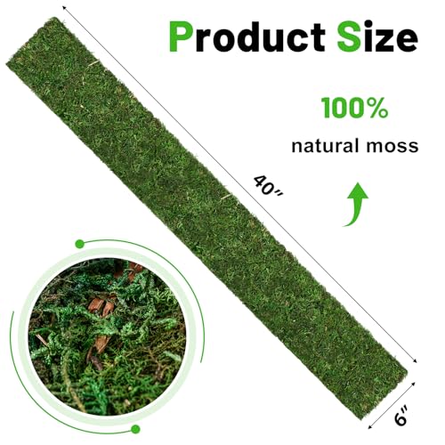40'' x 6'' Green Dried Moss Roll, Preserved Moss Sheet for Crafts Table Decoration Fairy Wedding Party Woodland Garden Decor