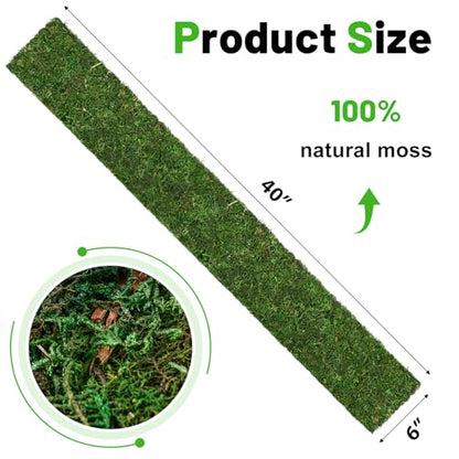 40'' x 6'' Green Dried Moss Roll, Preserved Moss Sheet for Crafts Table Decoration Fairy Wedding Party Woodland Garden Decor