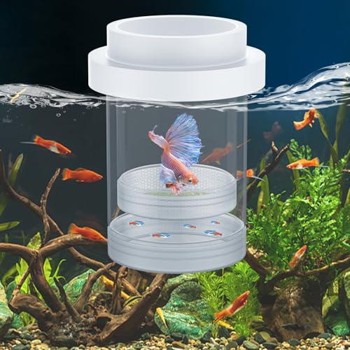 Pawfly Large Breeder Box for Fish Tank, Floating Guppy Breeder Box, Plastic Hatchery Incubator Isolation Box for Shrimp Betta Clownfish, Baby Fish Separator for Aquarium - size: Large