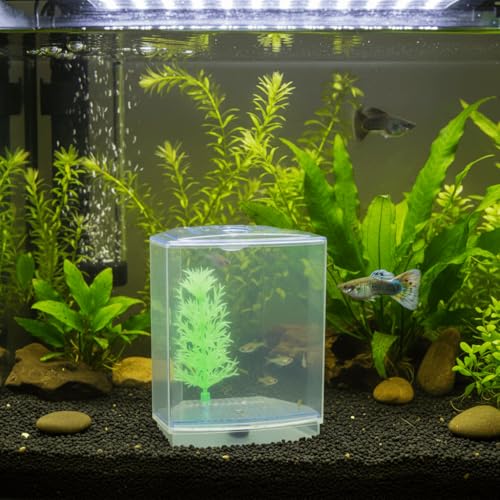 Mini Fish Breeding Box Acrylic Isolation Tank with Dirt Groove for Aquarium Fish Observation and Protection (Single)
