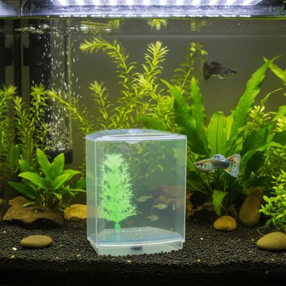 Mini Fish Breeding Box Acrylic Isolation Tank with Dirt Groove for Aquarium Fish Observation and Protection (Single)