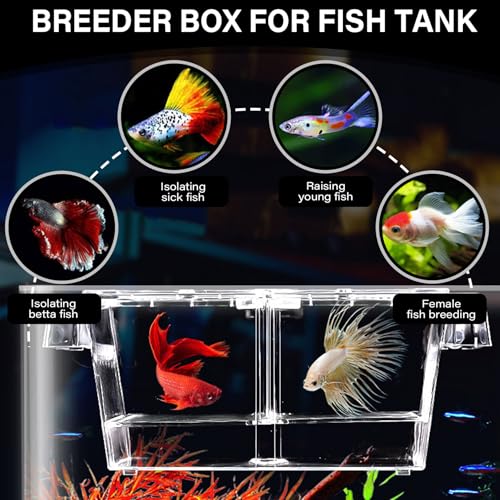 Breeder Box for Fish Tank Multi Compartment Fish Isolation Box for Aquarium with Suction Cup & Feeding Port Transparent ABS Fish Breeding Box for Baby Fish, Shrimps, Fish Isolation Box
