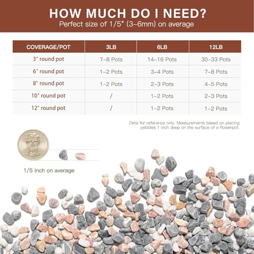 3 lbs Pebbles for Indoor Plants, 1/5 Inch Pea Gravel for Fish Tank, Decorative Rocks for Succulent, Natural River Stones for Vases, Cactus, Landscaping, Bird Bath, Aquarium, Mixed