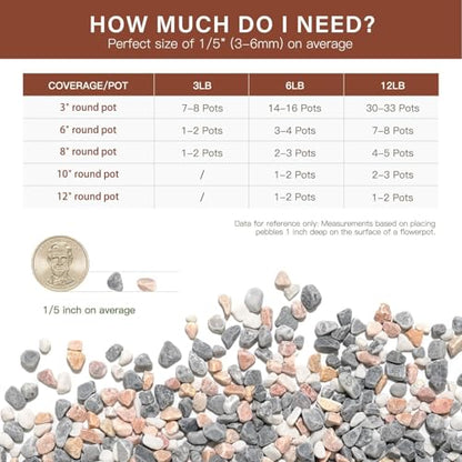 3 lbs Pebbles for Indoor Plants, 1/5 Inch Pea Gravel for Fish Tank, Decorative Rocks for Succulent, Natural River Stones for Vases, Cactus, Landscaping, Bird Bath, Aquarium, Mixed