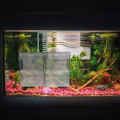 BESPORTBLE Fish Breeding Hatchery Box with Hooks, Aquarium Isolation Nursery Tank, Dual-Chamber Incubator for Tropical Fish Fry and Guppy Breeding in Home Aquariums