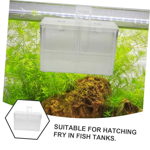 Totority Fish Breeding Box Cup for Aquarium Divider Incubator for Safe Fry Isolation and Acclimation Portable and Easy to Install Fish Divider for Betta