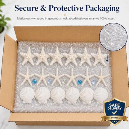 24 Pcs Starfish and Scallop Shells with Sea Glass, 3"-4" Large Natural Sea Shells for Crafts and Decorating, Seashell Decor for Beach Party, Wedding, Vase Filler, Christmas, Coastal Home DIY