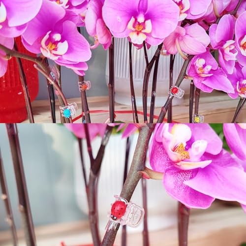 GXXMEI 50PCS Orchid Clips with 50PCS Self-Adhesive Mini Ladybugs Plant Clips Orchid Support Clips Vine Clips Plant Clips for Support Flower Orchid Vine